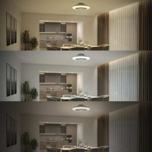 Deckenventilator mit Lampe Philips Weiß – Bild 5