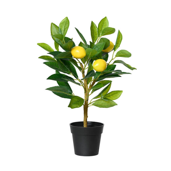 Dekorationspflanze Everlands Kunststoff Zitronenbaum 17 x 24 x 43 cm