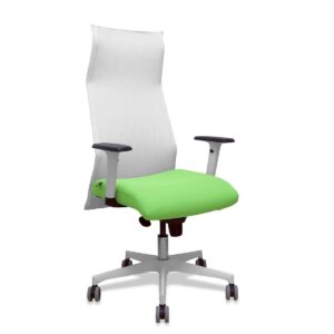 Bürostuhl Piqueras y Crespo 54BR65G Weiß Pistazienfarben