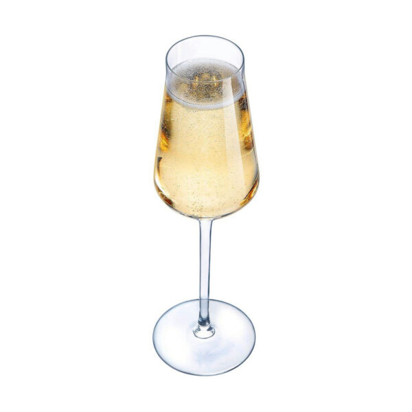 Champagnerglas Chef & Sommelier Durchsichtig Glas (21 cl) – Bild 3
