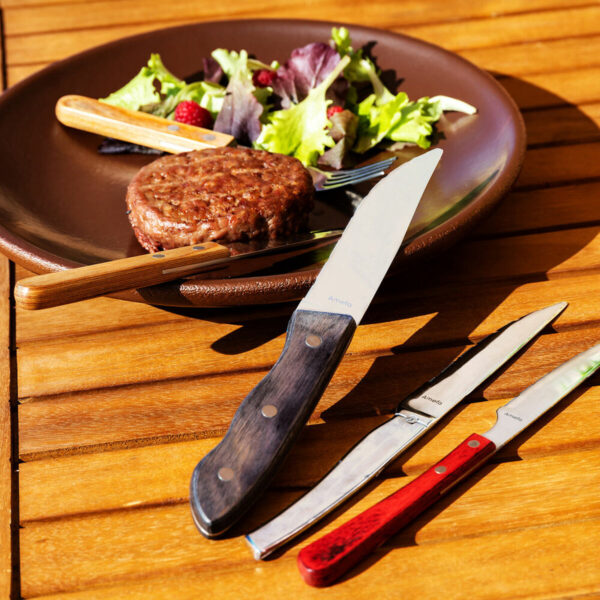 Steakmesser Amefa Hercule Braun Metall 6 Stück 25 cm (Pack 6x) – Bild 3