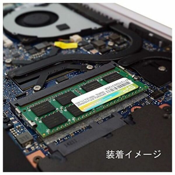 RAM Speicher Silicon Power PAMSLPSOO0022 8 GB 1600 MHz DDR3-PC3-12800 8 GB 1600 mHz CL11 DDR3L – Bild 2