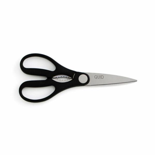 Kräuterschere Quid Kitchen Chef Metall 21 cm (6 Stück)