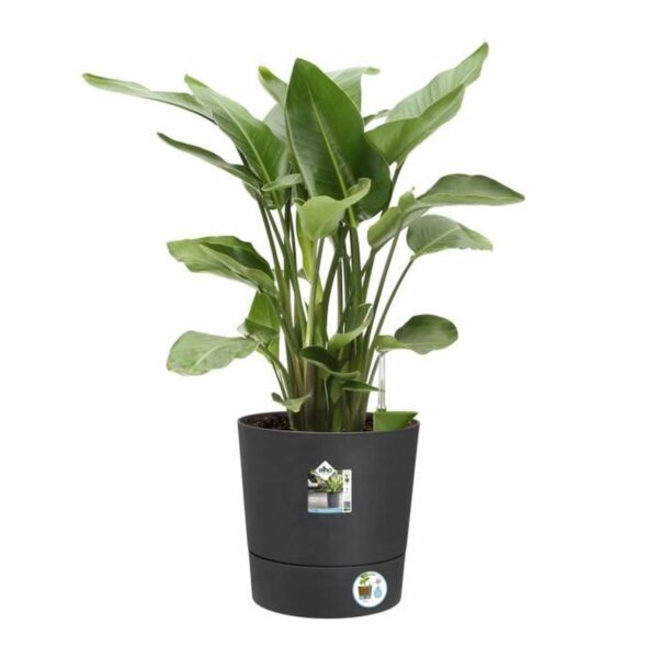 Blumentopf Elho Kunststoff rund Moderne – Bild 3
