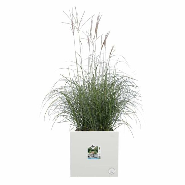 Blumentopf Elho Weiß Ø 39 cm Kunststoff karriert Moderne – Bild 3