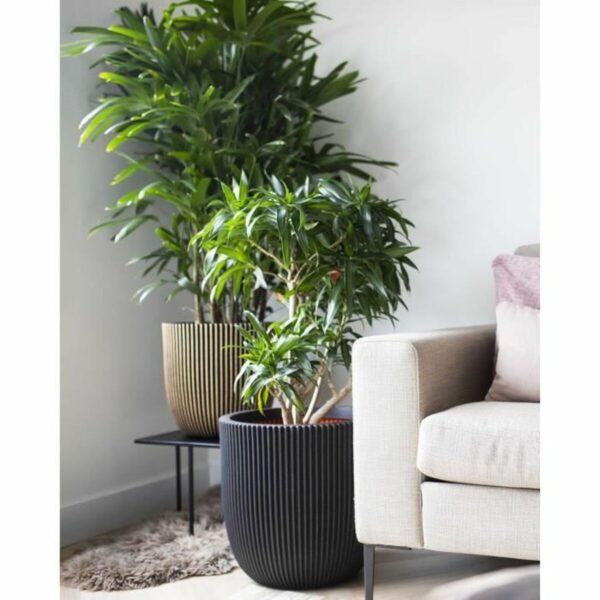 Blumentopf Capi Europe Schwarz Kunststoff Ø 43 cm – Bild 3