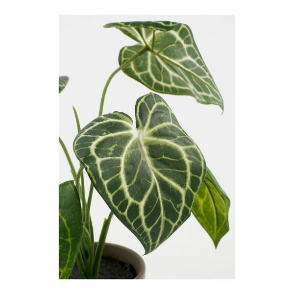 Dekorationspflanze Mica Decorations Caladium Ø 21 x 28 cm Künstlicher – Bild 2